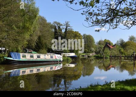 Boote spiegeln sich in stillem Wasser auf der schönen Wey Navigation In Surrey Stockfoto