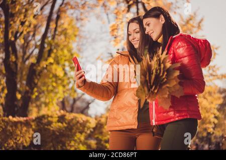 Foto von zwei Menschen Mädchen Blogger Fellows genießen Wochenende zu Fuß Spaziergang Fall Sonnenuntergang Park machen Selfie Smartphone halten sammeln Ahorn Blätter tragen Saison Stockfoto