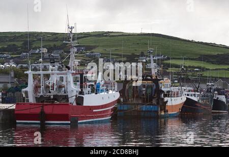 Kommerzielle Fischerboote dockten im Hafen von Dingle in der Grafschaft Kerry, Irland Stockfoto