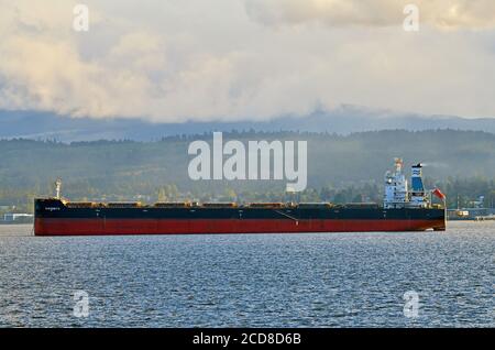 Eine horizontale Seitenansicht eines Ozeanlaufschiffs verankert Im Hafen von Nanaimo wartet auf eine Ladung Stockfoto