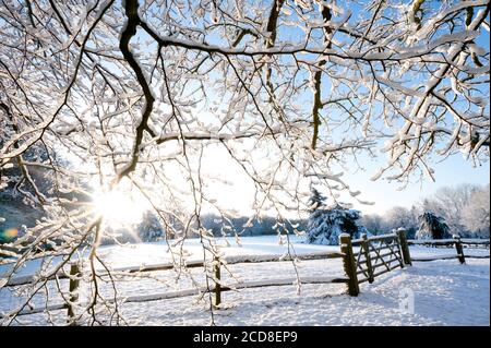 Eine helle Winterszene mit Sonnenschein durch schneebedeckte Äste und einem hölzernen Zaun und Tor in einer ländlichen Szene. Großbritannien. Stockfoto