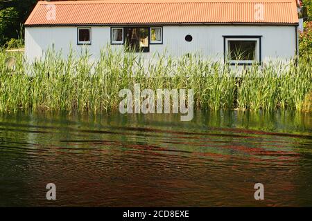 Ein Bungalow mit einem roten Metalldach am Ufer des Crinan Canal, Argyll, Schottland in der Nähe der Bellanoch Road Swing Bridge mit Schilf und Reflexionen Stockfoto