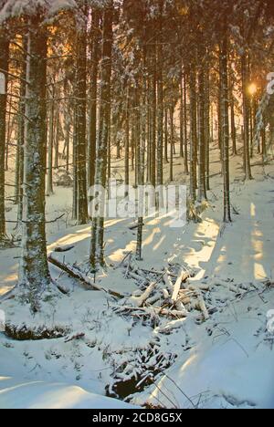 Eine winterliche Landschaft in der Nähe des Lac de Guéry, an einem späten Januarnachmittag Stockfoto