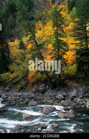 Wenatchee River im Tumwater Canyon, Wenatchee National Forest, Washington Stockfoto