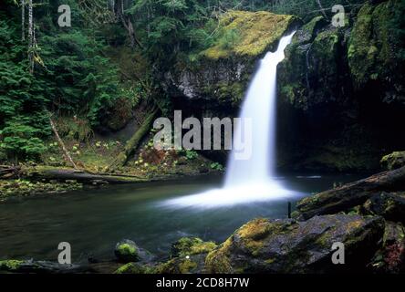 Iron Creek Falls, Gifford Pinchot National Forest, Washington Stockfoto