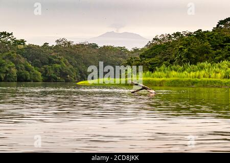 Vulkan am Horizont hinter einem Kanal bei Pacuare am Atlantischen Ozean bei Reventazón, Costa Rica Stockfoto