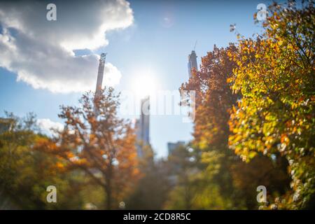 Many trees in Central Park, which glow in autumn colors Stockfoto