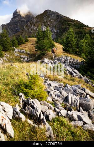 Frankreich, Haute Savoie, Tal von Abondance, La Chapelle d'Abondance, Jagdgebiet des Mont de Grange Stockfoto