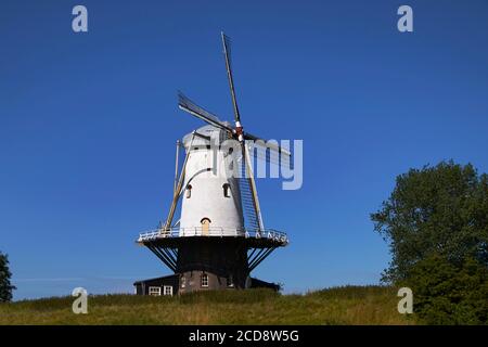 Niederlande, Zeeland Provinz, Walcheren, Veere, De Koe Windmühle Stockfoto