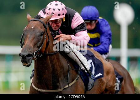 Sea Fox von Jockey John Egan (vorne) geritten gewinnt das Betway Live Casino Handicap (Div 1) auf der Lingfield Park Racecourse. Stockfoto