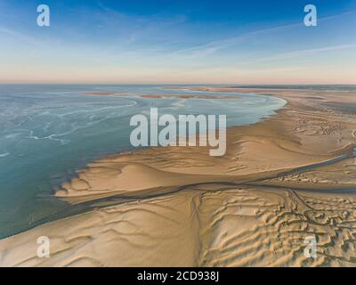 Frankreich, Somme, Baie de Somme, Le Crotoy, die Somme-Bucht bei Ebbe am frühen Morgen, das Naturschutzgebiet und der ornithologische Park von Marquenterre im Hintergrund (Luftaufnahme) Stockfoto