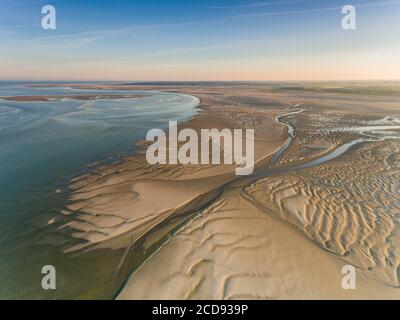 Frankreich, Somme, Baie de Somme, Le Crotoy, die Somme-Bucht bei Ebbe am frühen Morgen, das Naturschutzgebiet und der ornithologische Park von Marquenterre im Hintergrund (Luftaufnahme) Stockfoto