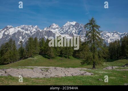 Frankreich, Hautes Alpes, Massiv der Oisans, Nationalpark Ecrins, Vallouise, Wanderung in Richtung Pointe des Tetes, das Gipfelplateau und die Gipfel des Pelvoux Stockfoto