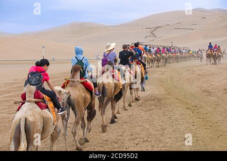 Chinesische Touristen reiten auf Kamelen während einer geführten Kamelritt-Exkursion in den Sanddünen der Hami-Wüste, Teil der Gobi-Wüste in Xinjiang, China Stockfoto