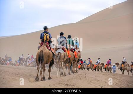 Chinesische Touristen reiten auf Kamelen während einer geführten Kamelritt-Exkursion in den Sanddünen der Hami-Wüste, Teil der Gobi-Wüste in Xinjiang, China Stockfoto