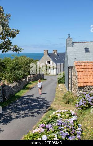 Frankreich, Manche, Cotentin, Cap de la Hague, Auderville, Ortsteil von Roche Stockfoto