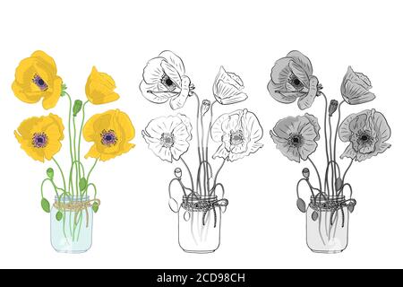 Hand gezeichnet Mohn Blumen in Einmachglas Cliparts Set. Element im floralen Dessin. Isoliert auf weißem Hintergrund. Vektor Stock Vektor