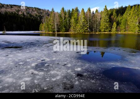 Frankreich, Vogesen, La Bresse, See Lispach, Moor, Spätswinter Stockfoto