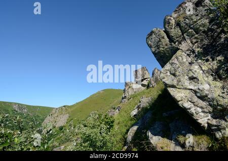 Frankreich, Haut Rhin, Hautes Vosges, Hohneck-Massiv, auf dem GR5-Weg, über dem Schiessrothried-See, Wormspel-gletscherkessel, Petit Hohneck, Granitfelsen Stockfoto