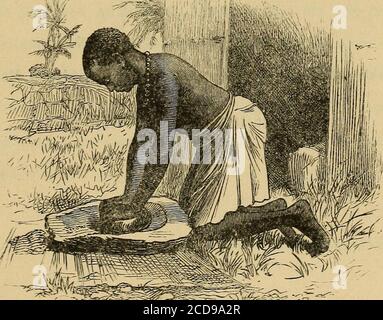 . Erzählung von einer Expedition zu den Zambesi und seinen Nebenflüssen; und der Entdeckung der Seen Shirwa und Nyassa. 1858-1864. UBRARY VON CONUHESS ^ 0 019 9503261. FeTsSV-- ^5 Witt) iWap mrtj fcllustvatfons. N E W Y O R E : HARPER & BROTHERS, PUBLISHER, FRANKLIN SQUARE. *oi -? T 7c eingetragen, nach Act of Congress, im Jahr tausend achtzig und fünfundsechzig, von CHARLES LIVINGSTONE, in der Büroangestellten Büro des District Court of the District of Massachusetts. Copyright, 1893, H. C. Livingstone. RECHTS HON. LORD PALMERSTON, KG.C.B. Mein Herr, ich bitte mich zu weihen Stockfoto