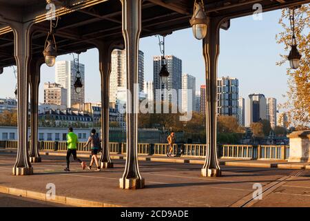 Frankreich, Paris, von der UNESCO zum Weltkulturerbe erklärt, die Bir-Hakeim-Brücke und die Gebäude des Viertels Beaugrenelle im Hintergrund Stockfoto