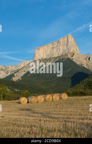 Frankreich, Isere, Massif du Vercors, Trieves, Weizenstrohballen zum Dorf Chichilianne und Mont Aiguille Stockfoto