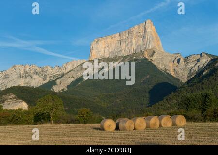 Frankreich, Isere, Massif du Vercors, Trieves, Weizenstrohballen zum Dorf Chichilianne und Mont Aiguille Stockfoto