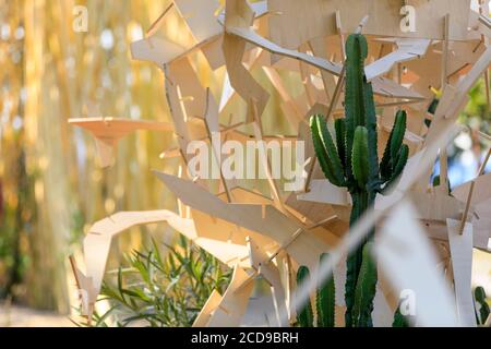 Frankreich, Alpes Maritimes, Nizza, Festival der Gärten der französischen Riviera 2019, Garten Resilience d'ete Association Paysagistes sans Frontieres von Benjamin Ilrat, Etienne Roby, Axel Adam Couralet, Estelle Briaud, Nicolas Brousse, Hugo Levere , Xin Luo, Jean Baptiste Audubert, Sebastien Thomas und Pierre Delmau Stockfoto