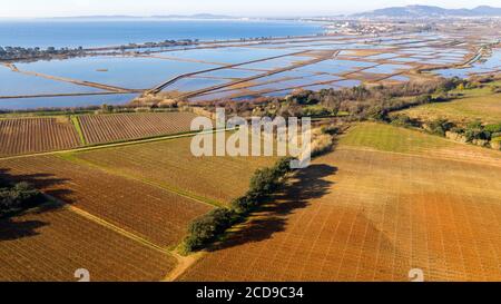 Frankreich, Var, La Londe Les Maures, Schlosspark Le Bastidon, AOP Cotes de Provence, Hyeres-Salz im Hintergrund (Luftaufnahme) Stockfoto