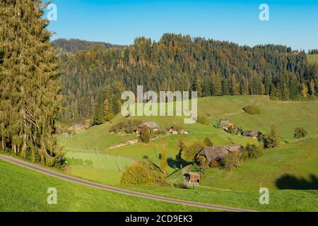 Schweiz, Kanton Bern, Emmental, Emmental, traditionelle Holzbauernhöfe in den Krummbach-Hügeln oberhalb von Eggiwil und R?teberg Stockfoto