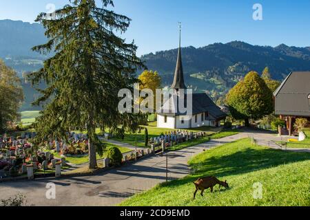 Schweiz, Kanton Bern, Emmental, Emmental, Ziegenvorplatz Kirche Schangnau, Friedhof und Trogehorn Stockfoto