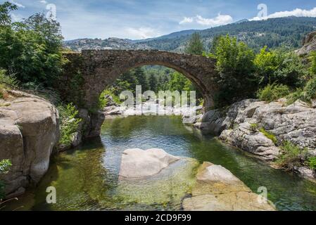 Frankreich, Corse du Sud, D 84, Albertacce, Regionalpark, die alte Altu-Brücke über den Golu-Bach Stockfoto