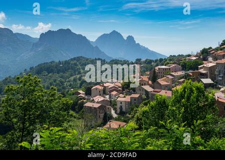Frankreich, Corse du Sud, D 84, regionaler Naturpark, das Dorf Evisa und die Capu d'Orto Stockfoto