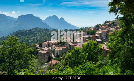 Frankreich, Corse du Sud, D 84, regionaler Naturpark, Panoramablick auf das Dorf Evisa und die Capu d'Orto Stockfoto