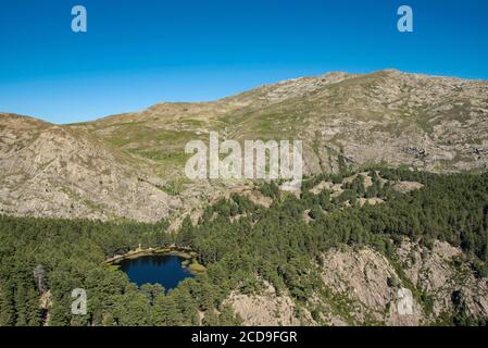 Frankreich, Haute Corse, Corte, Restonica Valley, Fliegen über die Seen des regionalen Naturparks hier Creno See und Cimatella (Luftaufnahme) Stockfoto