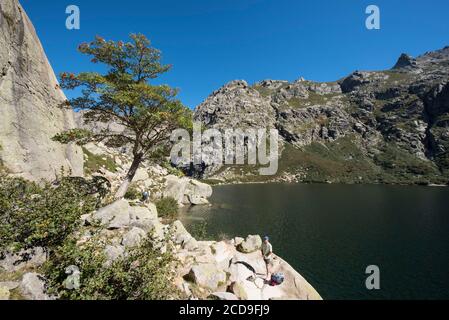 Frankreich, Haute Corse, Corte, Restonica Valley, im Regionalen Naturpark der See Melo Stockfoto