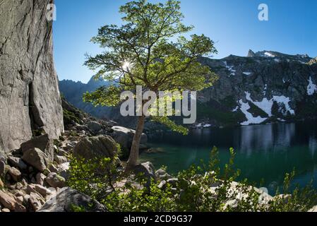 Frankreich, Haute Corse, Corte, Restonica Valley, im Regionalen Naturpark der See Melo Stockfoto