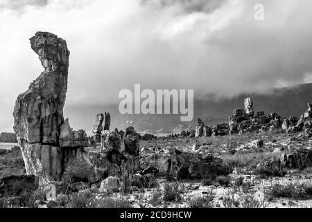 Sandsteinsäulen erodierten am Window Rock Trail in den Cederberg Mountains im Western Cape, Südafrika, in monochromen Formen Stockfoto