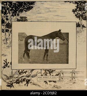 . Züchter und Sportler . VOL. XXIV. Nr. 14St GEAEY STREET. SAN FRANCISCO, SAMSTAG, 2. APRIL 1904. ABONNEMENT DREI DOLLAR PRO IEU. ©itc ^Jvccber CMU Qpovtstnan [2. April 1»04 THE BUFFALO DRIVING CLUB 16,000 Dollar für die frühen Abschlussklassen. EINTRÄGE SCHLIESSEN DONNERSTAG, AP. IL 7TH KENILWOETH TRACK, 1. AUGUST 2. 3, 4 und 5, 1904. Nr. 1-SI000-DIE VORBEREITUNG^mNJor drei=Jahr=o!ds (2 Heats). No. 4- USD WJ0-™E EINFÜHRUNG, für drei=Jahr=OIDs (2 Heate) No 1 – S2000-QUEEN CITY (3 Heats) 2:19 Class No. 5-S2001 -IROQUOIS H ...2.14 Class No. 3 – S5000-ELECTRIC CITY (3 Heats) 2:11 Class No -CONDITIONS 6 – 5000 USD – EMPIRE S Stockfoto