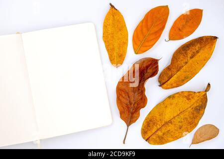 Orangefarbenes Blatt und leeres Notizbuch flach lagen auf weißem Hintergrund. Öffnen Sie Skizzenbuch weißes Papier Draufsicht Fotomockup. Gelb rot Baum Blatt Hintergrund für Meere Stockfoto