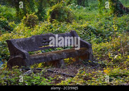 Verlassene Zementbank mit Moos bedeckt auf dem Fußweg am Indian Botanic Garden of Shibpur, Howrah in der Nähe von Kalkutta. Weichfokus Stockfoto