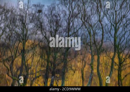 Eine neblige morgendliche Fahrt durch die schottischen Highlands mit Halt an Loch Lubhnaig, Loch Lubhair und Loch Awe. Stockfoto