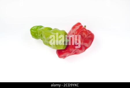 Dragon's Toe rote & grüne chinesische Paprika, Capsicum annuum, in der Regel in Rührfries & Salate verwendet Stockfoto