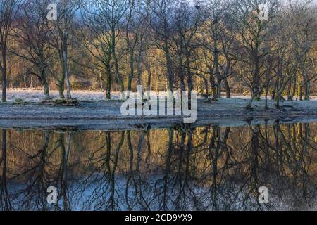 Eine neblige morgendliche Fahrt durch die schottischen Highlands mit Halt an Loch Lubhnaig, Loch Lubhair und Loch Awe. Stockfoto