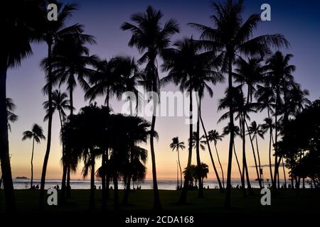 Spektakulärer und farbenfroher Sonnenuntergang, silhouettierte Palmen, am Strand im Resortviertel Waikiki Beach, Oahu Island, Honolulu, Hawaii, USA Stockfoto