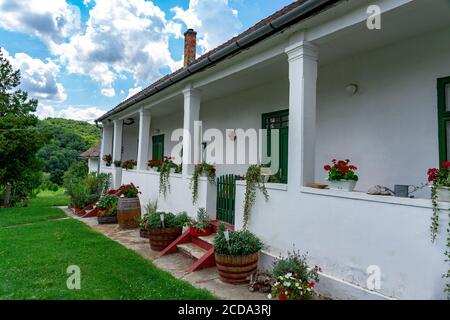 Berühmte ungarische Gastro Dorf Palkonya in Ungarn Straßenansicht mit Sommerblumen Stockfoto