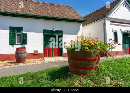 Berühmte ungarische Gastro Dorf Palkonya in Ungarn Straßenansicht mit Sommerblumen Stockfoto