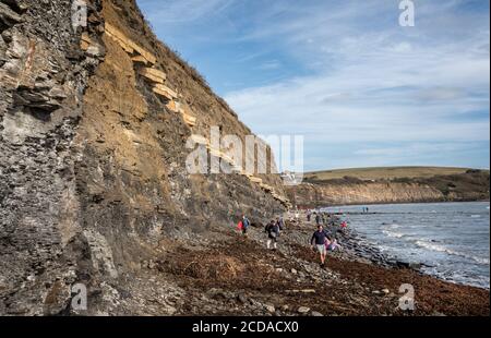 Kimmeridge Bay mit felsiger Uferlinie und Fossilienjägern, mit dem Clavell Tower im Hintergrund in Kimmeridge, Isle of Purbeck, Dorset, UK am 26. Aug Stockfoto