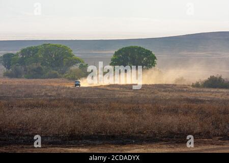 Tansania -23. Januar 2018- Safarifahrzeuge im Ngorongoro Conservation Area (NCA), einem UNESCO-Weltkulturerbe im Crater Highlands ne Stockfoto