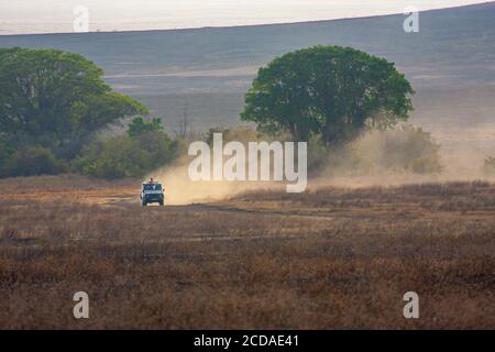 Tansania -23. Januar 2018- Safarifahrzeuge im Ngorongoro Conservation Area (NCA), einem UNESCO-Weltkulturerbe im Crater Highlands ne Stockfoto